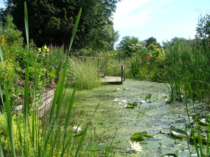 Hazel Cottage